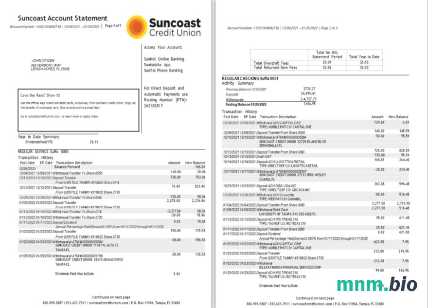 USA Suncoast wyciąg z konta bankowego szablon Worda i PDF, 2 stronas